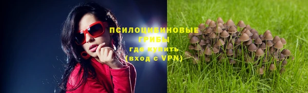 ECSTASY Бронницы
