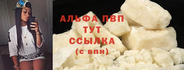 твердый Богданович