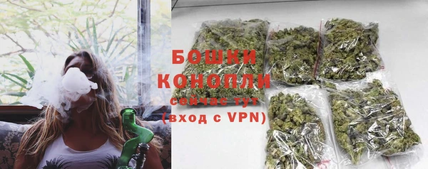 твердый Богданович